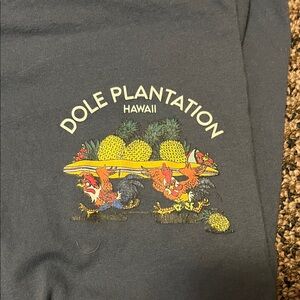 Hawaii Men's Charcoal Tee - Short Sleeve